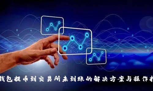 TP钱包提币到交易所未到账的解决方案与操作指南