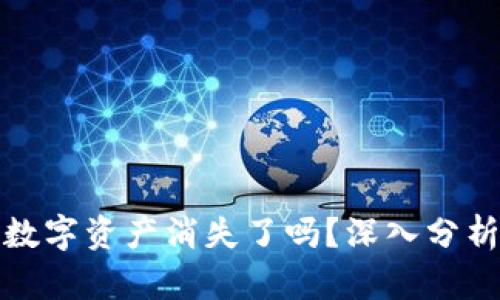 TP钱包中的数字资产消失了吗？深入分析与解决方案