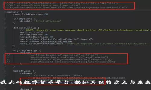 全球最大的数字货币平台：揭秘其独特卖点与未来趋势