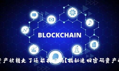 TP钱包资产被转走了还能找回吗？揭秘追回密码资产的可能性