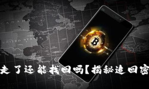 TP钱包资产被转走了还能找回吗？揭秘追回密码资产的可能性