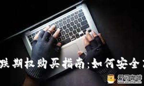 数字货币看跌期权购买指南：如何安全高效地操作？