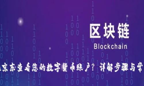 如何在京东查看您的数字货币账户? 详解步骤与常见问题
