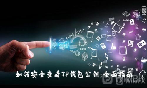 如何安全查看TP钱包公钥：全面指南