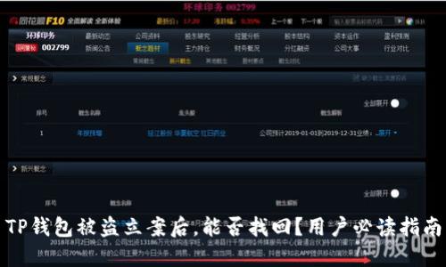 TP钱包被盗立案后，能否找回？用户必读指南