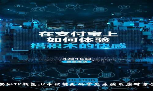 揭秘TP钱包：U币被转走的常见原因及应对方案