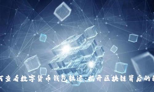 如何查看数字货币钱包轨迹：揭开区块链背后的秘密