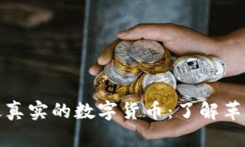 探索世界上最真实的数字货币：了解革新金融的背后