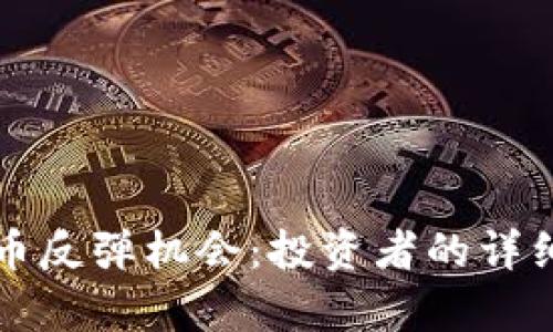 如何把握数字货币反弹机会：投资者的详细日志与策略解析