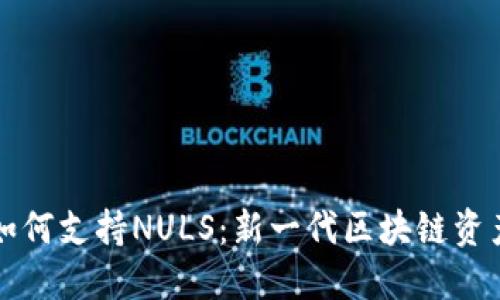 以太坊钱包如何支持NULS：新一代区块链资产的管理方案