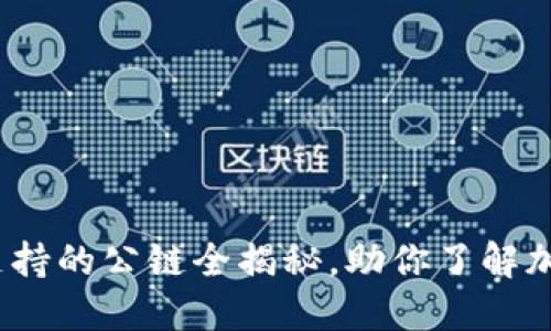 探索TP钱包：支持的公链全揭秘，助你了解加密世界的未来