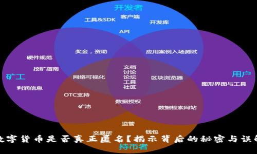 数字货币是否真正匿名？揭示背后的秘密与误解