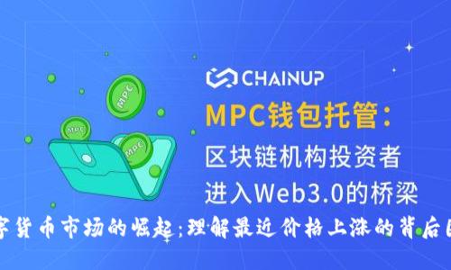 数字货币市场的崛起：理解最近价格上涨的背后因素