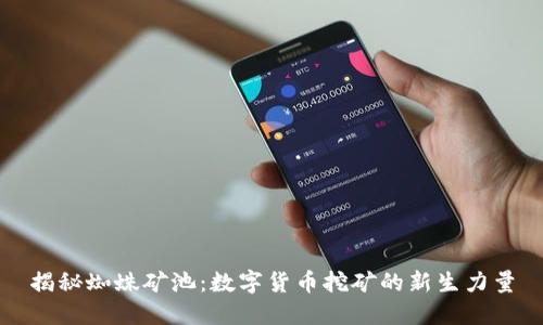 揭秘蜘蛛矿池：数字货币挖矿的新生力量