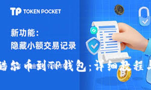 如何绑定酷尔币到TP钱包：详细教程与步骤解析
