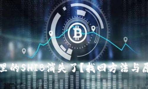 TP钱包里的SHIB消失了？找回方法与原因解析