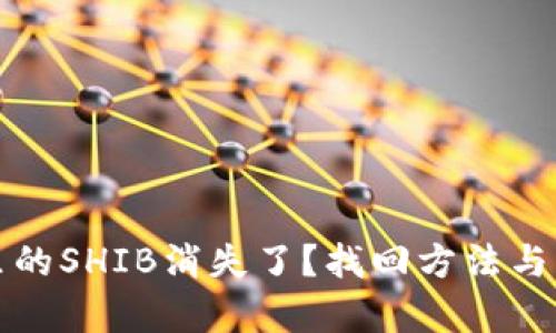 TP钱包里的SHIB消失了？找回方法与原因解析
