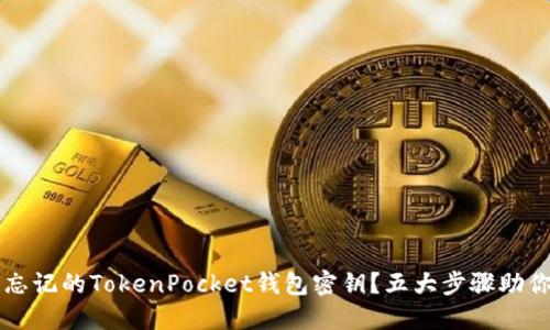 如何找回忘记的TokenPocket钱包密钥？五大步骤助你轻松解决