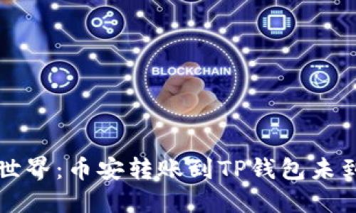 品味加密货币世界：币安转账到TP钱包未到账的解决方案