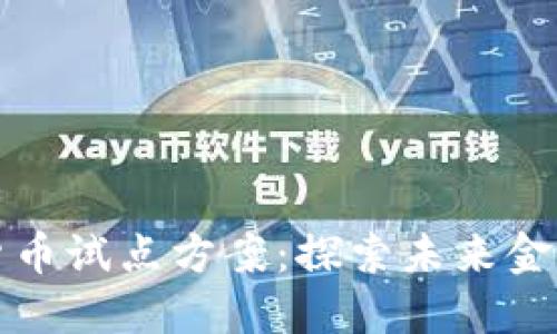 汕尾数字货币试点方案：探索未来金融的新领域