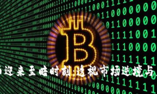 数字货币迎来至暗时刻：透视市场逆境与未来希望