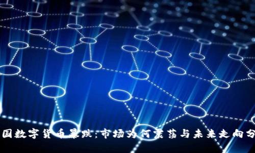 美国数字货币暴跌：市场为何震荡与未来走向分析