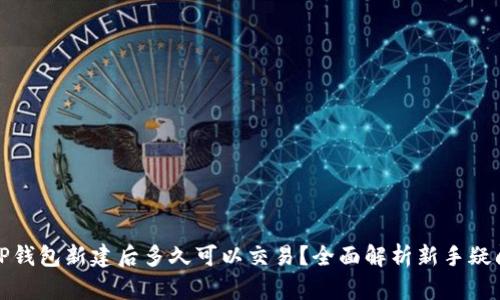 TP钱包新建后多久可以交易？全面解析新手疑问