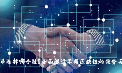 TP钱包转币选择哪个链？全面解读不同区块链的优势与选择指南
