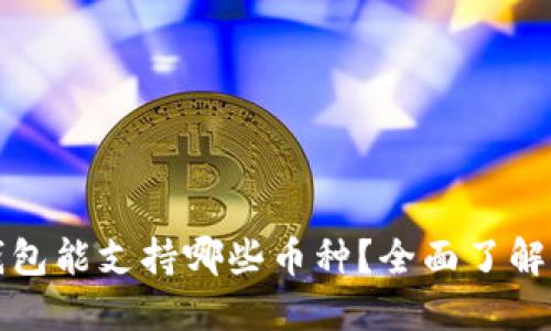 以太坊钱包能支持哪些币种？全面了解你的选择