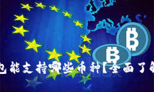 以太坊钱包能支持哪些币种？全面了解你的选择