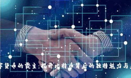 全球数字货币的霸主：揭开比特币背后的独特魅力与未来潜力
