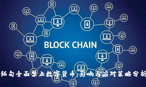 缅甸全面禁止数字货币：影响与应对策略分析