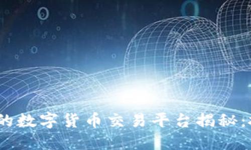 2023年价格最低的数字货币交易平台揭秘：投资者的绝佳选择