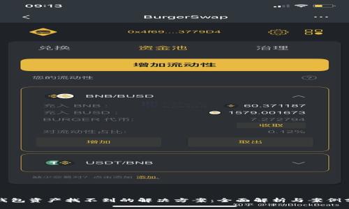 TP钱包资产找不到的解决方案：全面解析与案例分享
