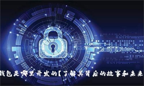t p钱包是哪里开发的？了解其背后的故事和未来潜力