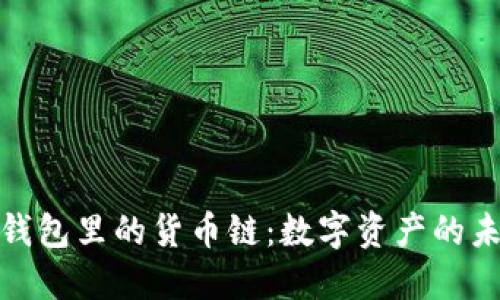 探索TP钱包里的货币链：数字资产的未来之路