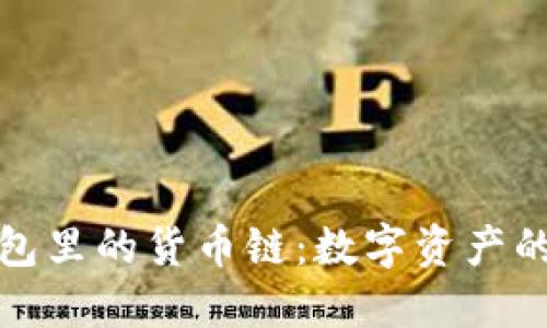 探索TP钱包里的货币链：数字资产的未来之路