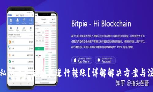 TP钱包私钥丢失后如何进行转账？详解解决方案与注意事项