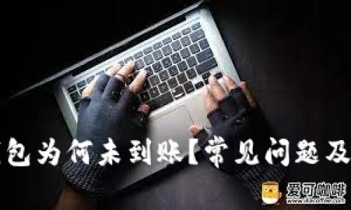 扫码使用TP钱包为何未到账？常见问题及解决方案详解