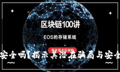 TP钱包安全吗？揭示其潜在骗局与安全性分析